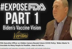 新冠外国高管爆料视频